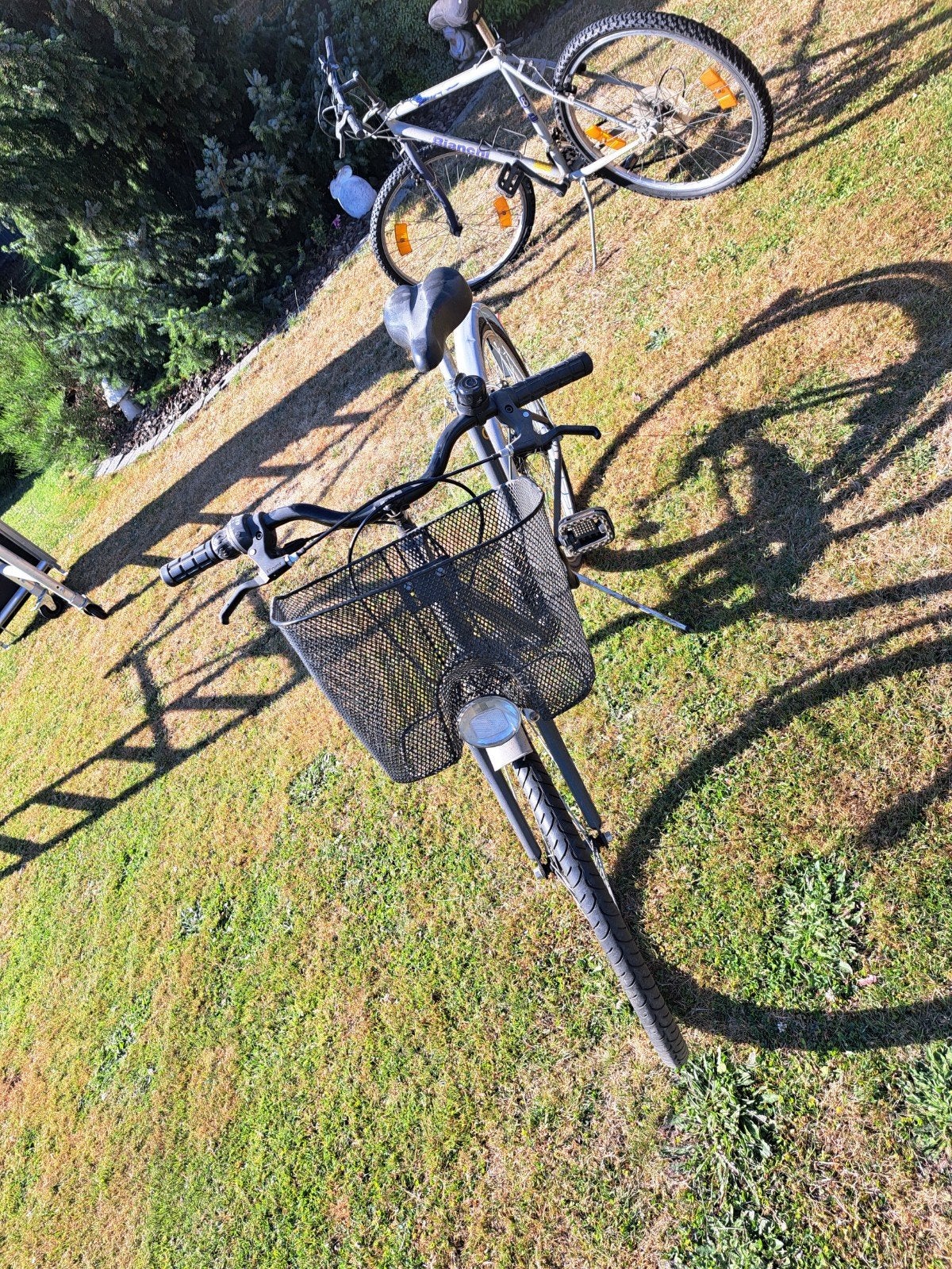 Velo dame, Vélos & Vélomoteurs, Enlèvement, Vitesses