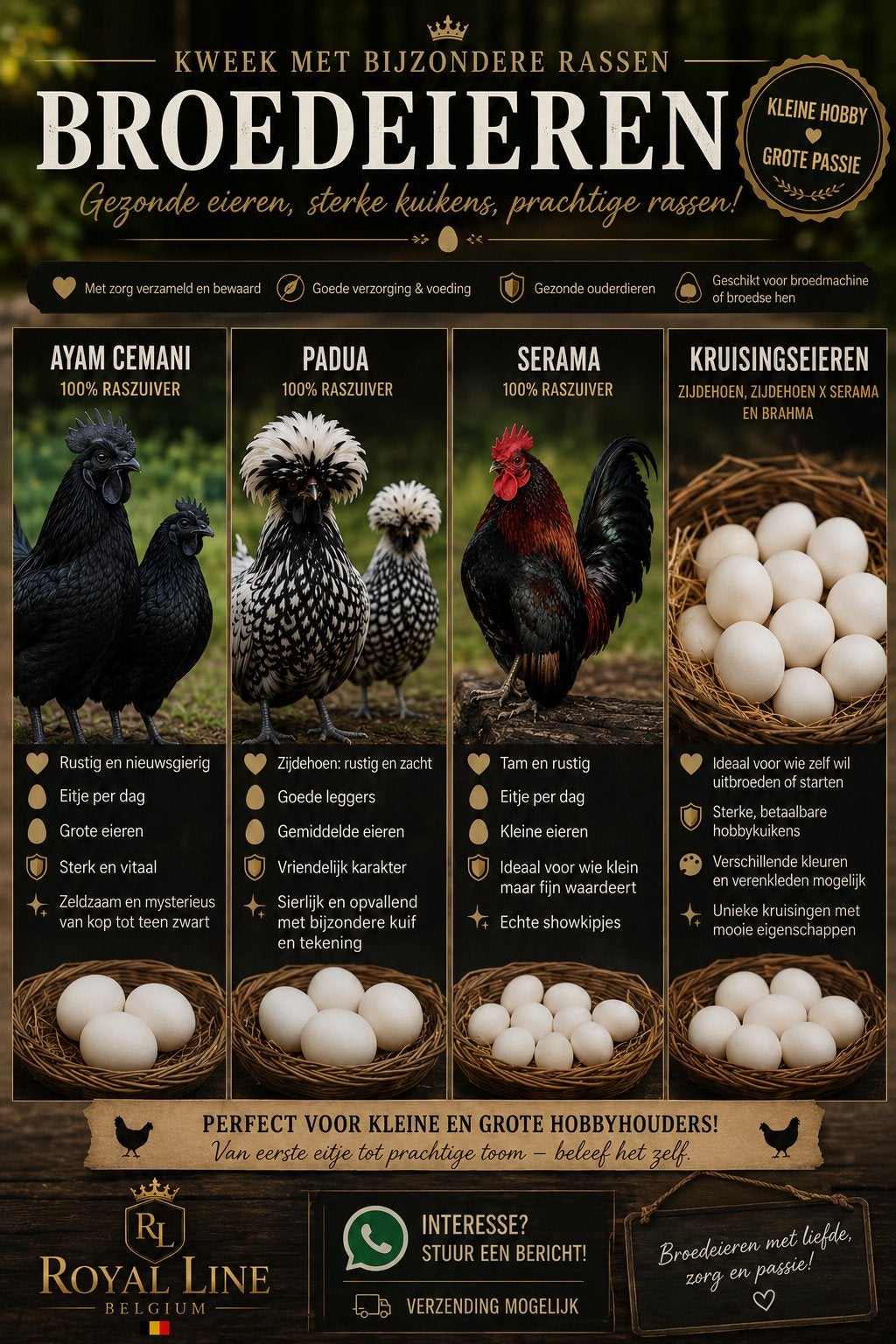 Broedeieren diverse rassen