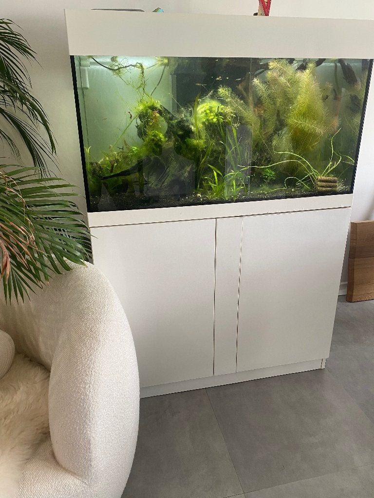 Aquarium met toebehoren, Dieren en Toebehoren, Ophalen, Inclusief vissen, Gebruikt, Gevuld zoetwateraquarium