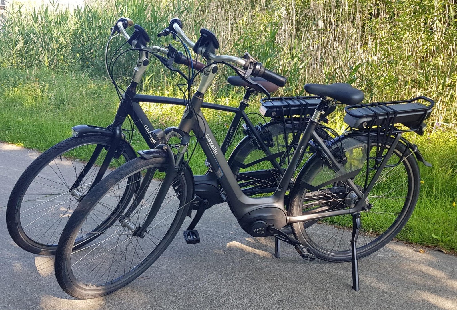 Set van 2 prachtige Gazelle e-bikes | Bosch Active Line Plus, Fietsen en Brommers, Ophalen, Gazelle