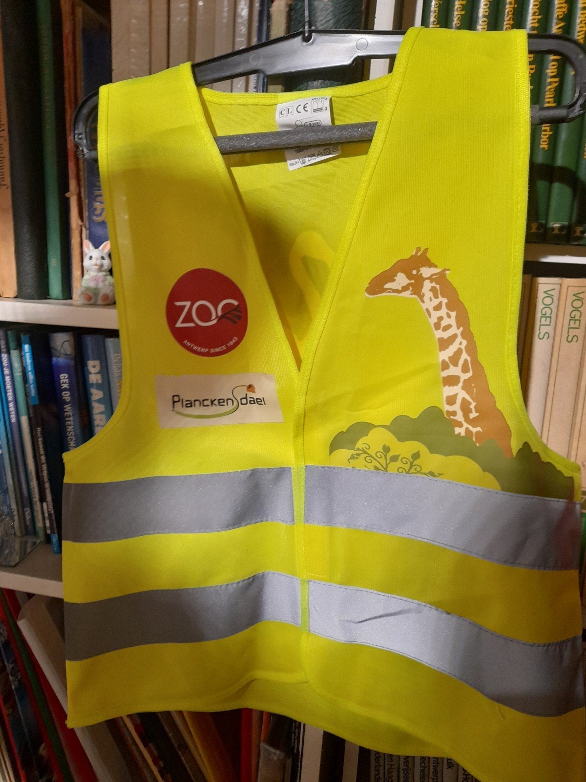 Veiligheids hesje voor kind, Ophalen of Verzenden