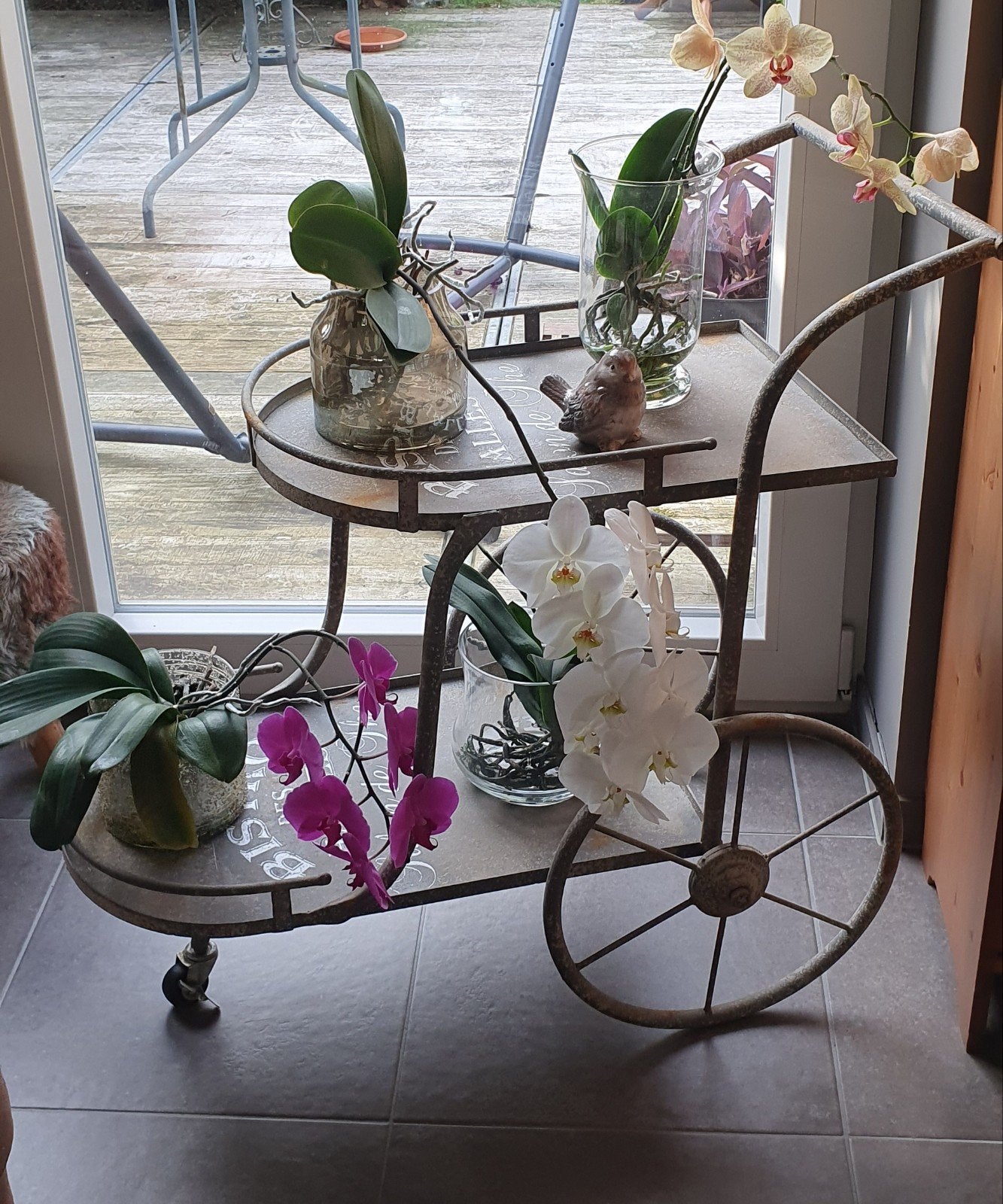 4 mooie orchideeën incl.potten van Rasteli, prijs/stuk, Enlèvement