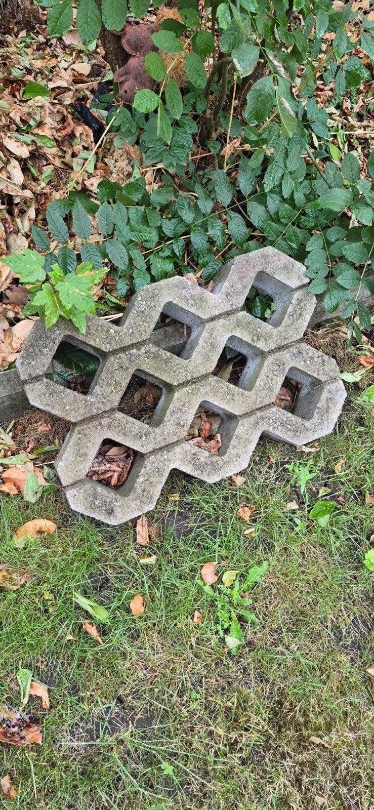 grasdallen gratis 14 stuks, Enlèvement