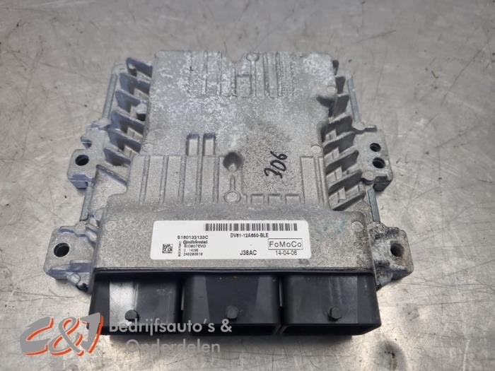 Computer Motormanagement van een Ford Transit Connect, Gebruikt, -, -, Ophalen of Verzenden