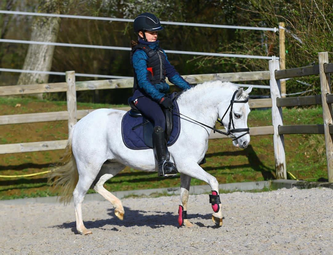 Brave B pony 10jr, Dieren en Toebehoren, B