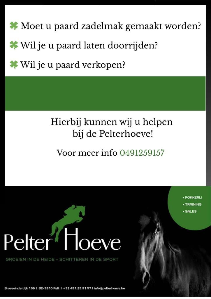 Zadelmak maken,doortrainen,verkoop, Dieren en Toebehoren, Paarden, Meerdere dieren, Zadelmak