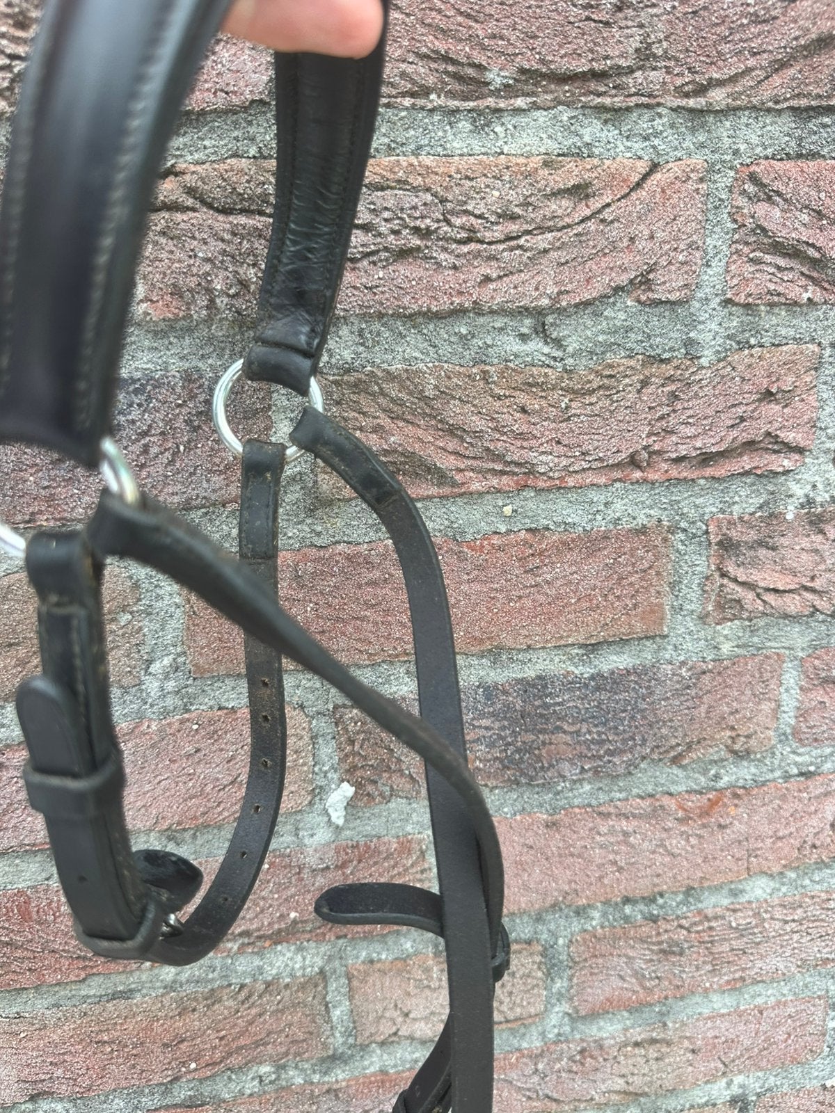 Zwarte lage leren neusriem BR, Dieren en Toebehoren, Ophalen of Verzenden, BR, Full, Zacht onderlegd