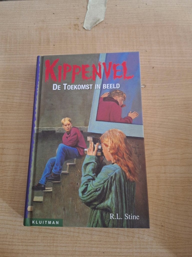 boek de toekomst in beeld kippenvel, Ophalen of Verzenden, Zo goed als nieuw