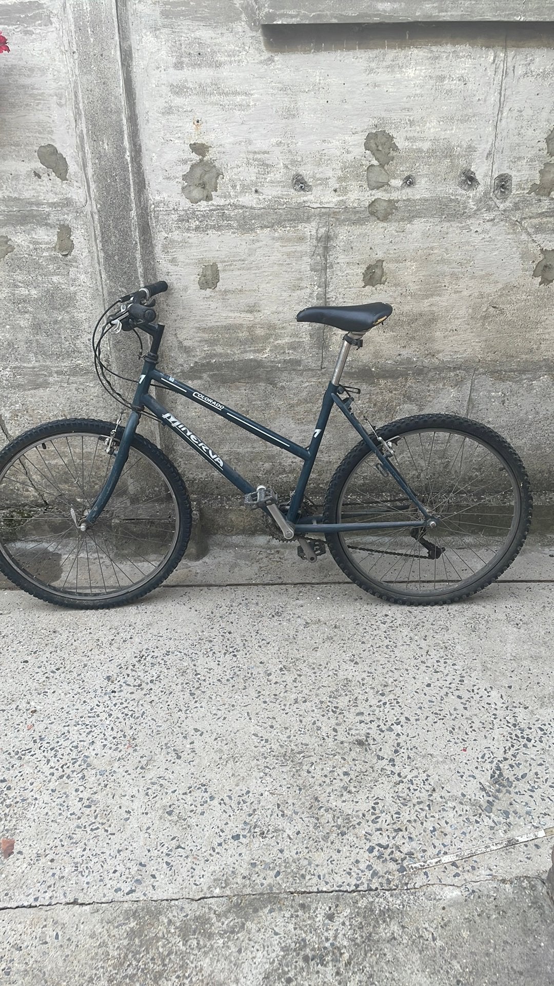 Velo dame, Autres marques, Vitesses, Frein sur jante, 18 à 20 pouces