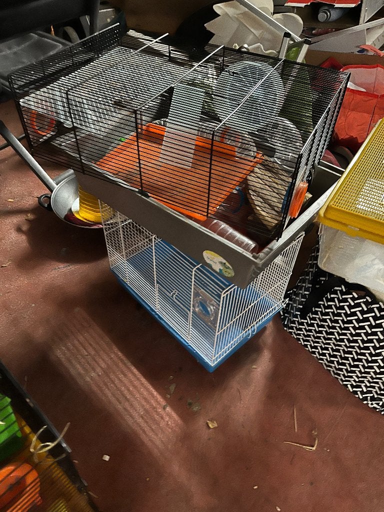 Cage pour hamsters, Enlèvement, Utilisé, Cage, Hamster