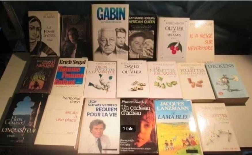 19 beaux romans français, Livres, Romans, Enlèvement ou Envoi, Comme neuf