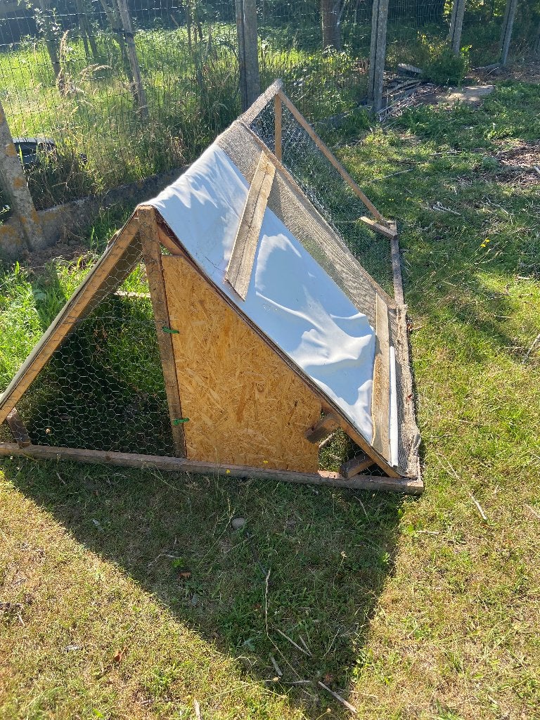Kippen of kuikensren, Dieren en Toebehoren, Pluimvee, Overige soorten