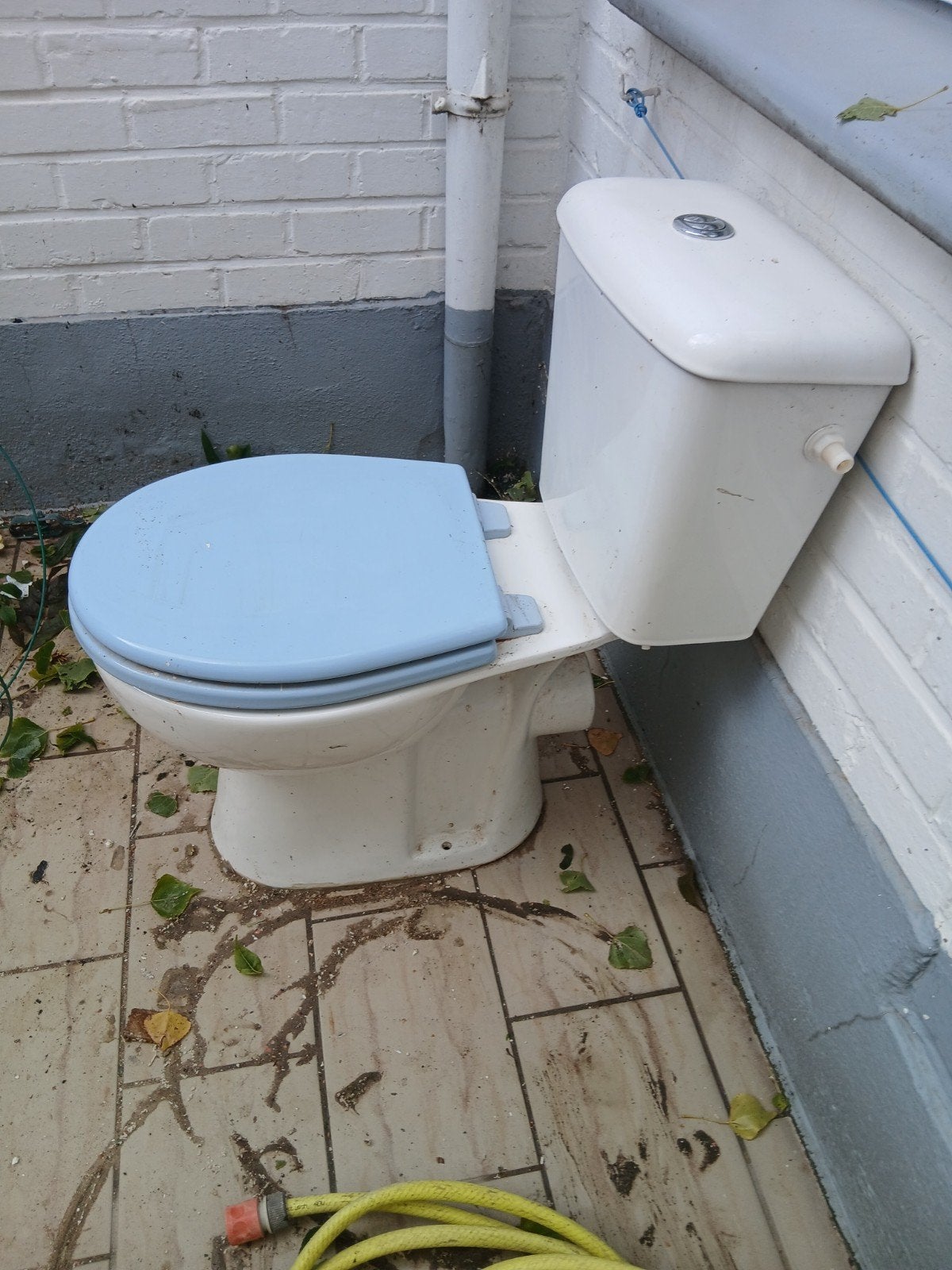 toilet gratis, Ophalen, Toilet