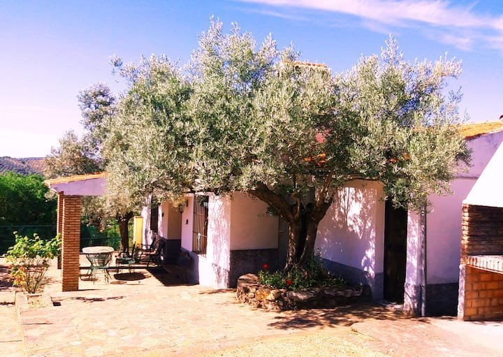 Villa en Andalousie/ Cordoue, Piscine