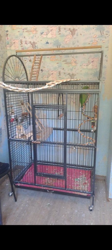 Vogel kooi groot, Ophalen of Verzenden, Gebruikt, Metaal, Vogelkooi