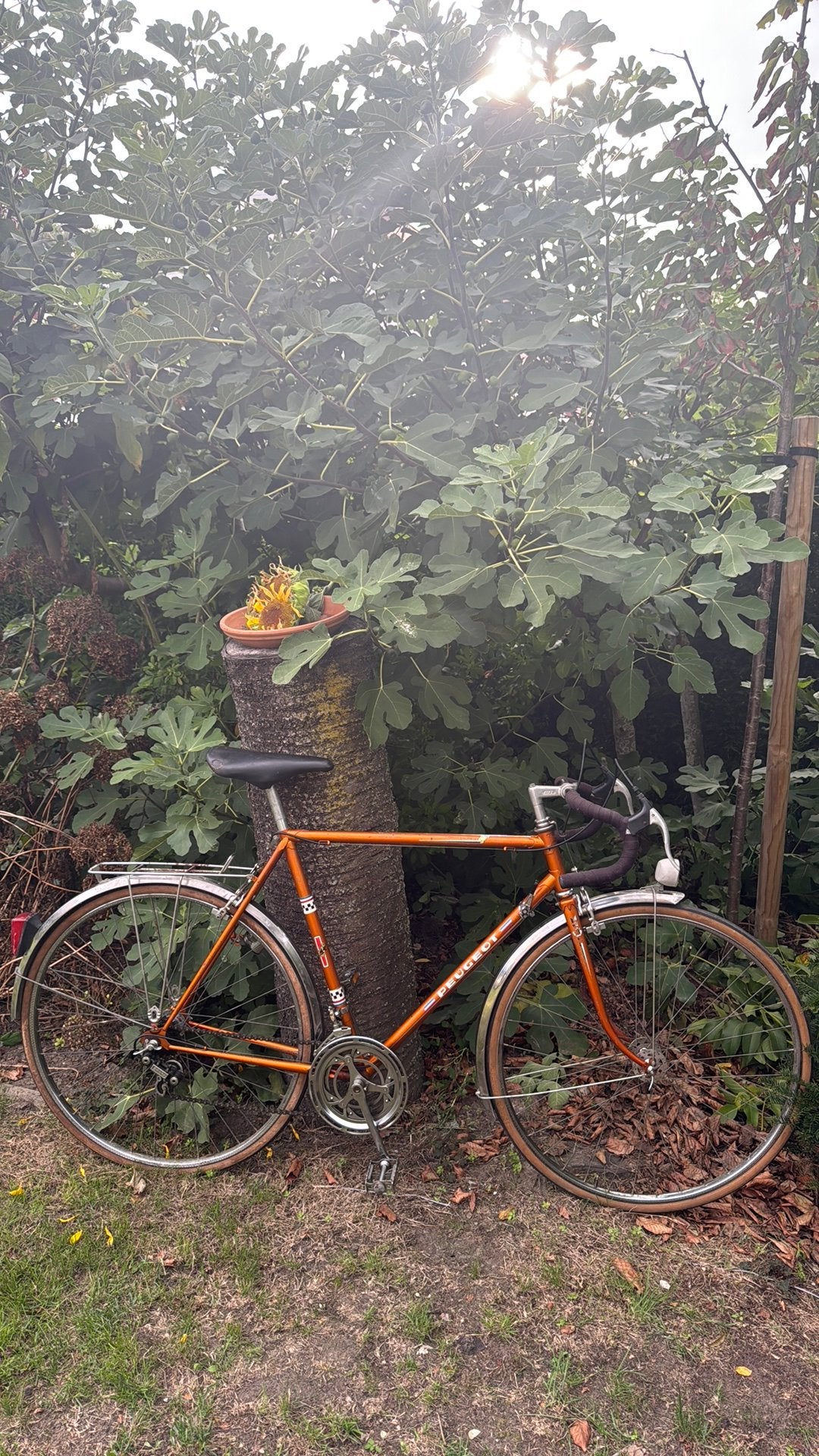 Peugot randoneur/stadsfiets heren te koop. Medium maat, Enlèvement
