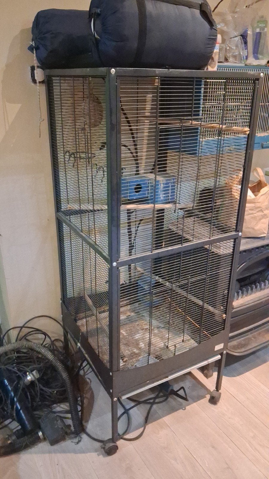 Vogelkot, Dieren en Toebehoren, Ophalen