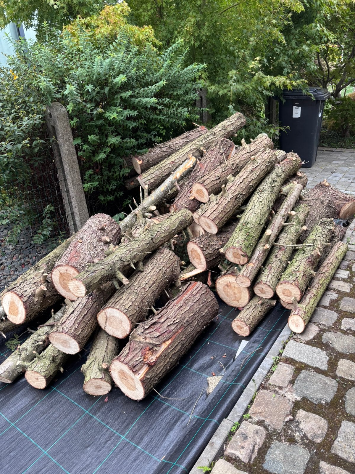 Bois de sapin a vendre, Moins de 3 m³, Enlèvement, Autres essences de bois, Troncs d'arbres