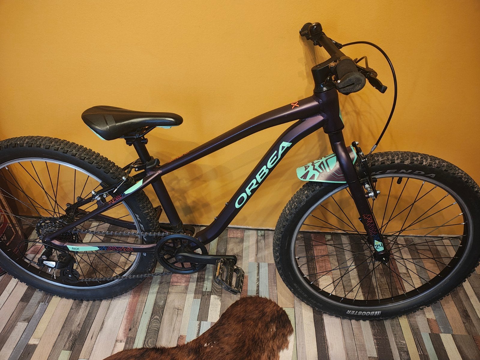 Orbea mx 24 pouces, Enlèvement