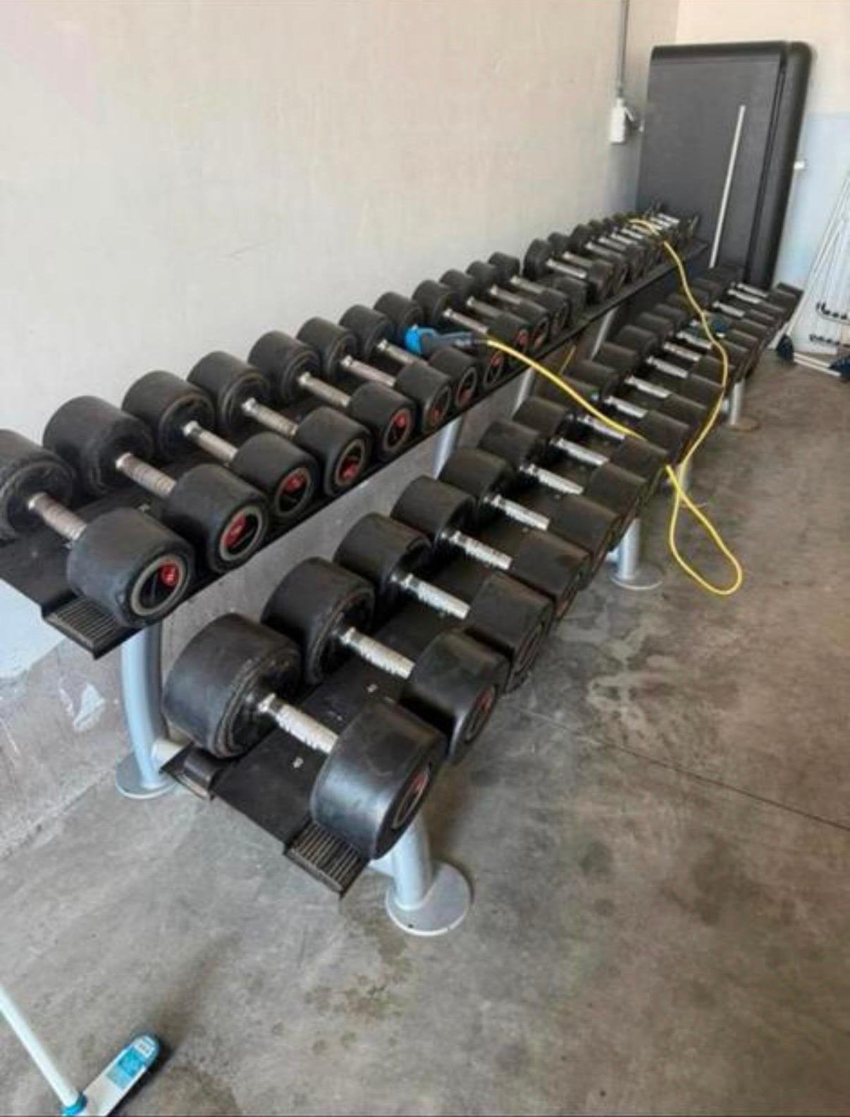 Dumbells life fitness, Enlèvement, Comme neuf