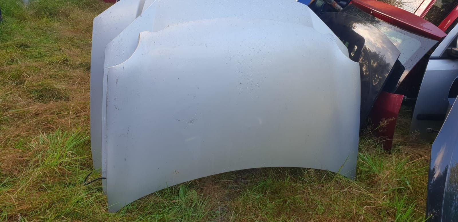 VW POLO MOTORKAP BJ 2002 TOT 2005, -, Utilisé, -, Capot moteur