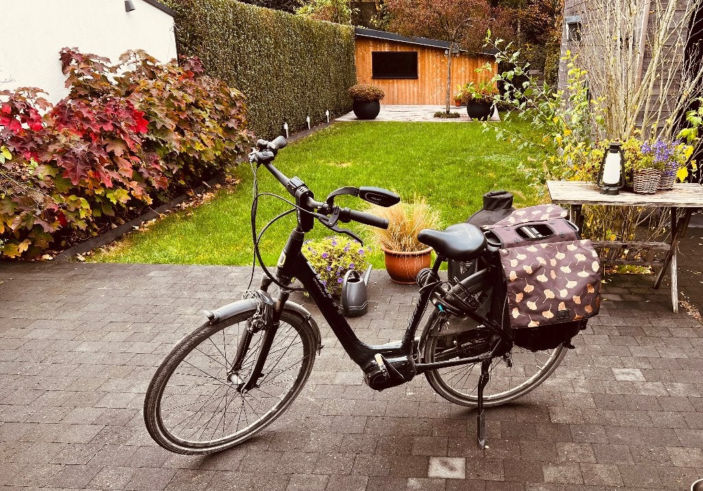 Elektrische damesfiets, Fietsen en Brommers, Ophalen, Gebruikt, 50 km per accu of meer, Giant