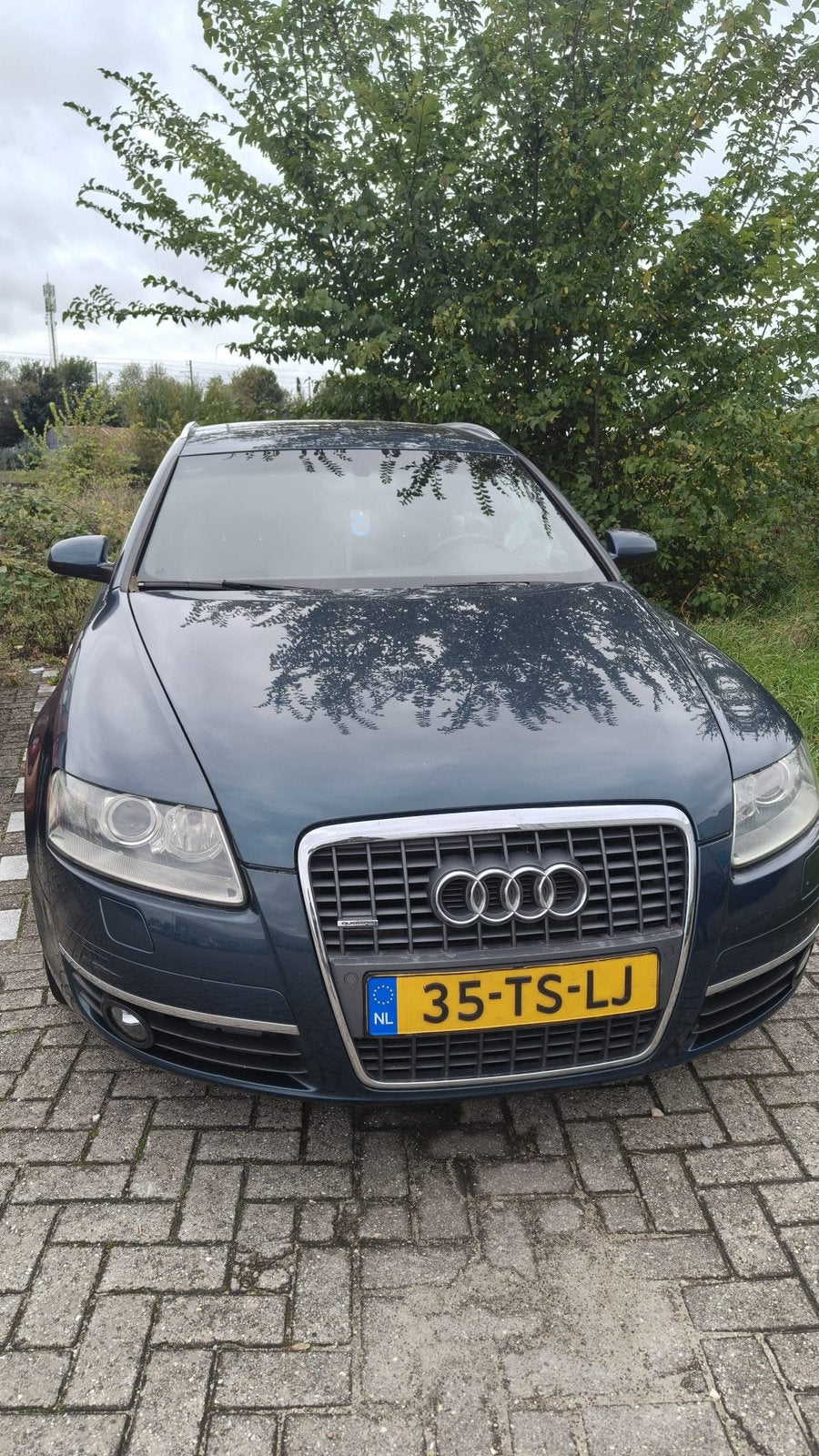 Audi A6 3.0 TDI Quattro | Avant | Proline | BJ 2007, Autos, Cuir, Achat, Automatique, Particulier