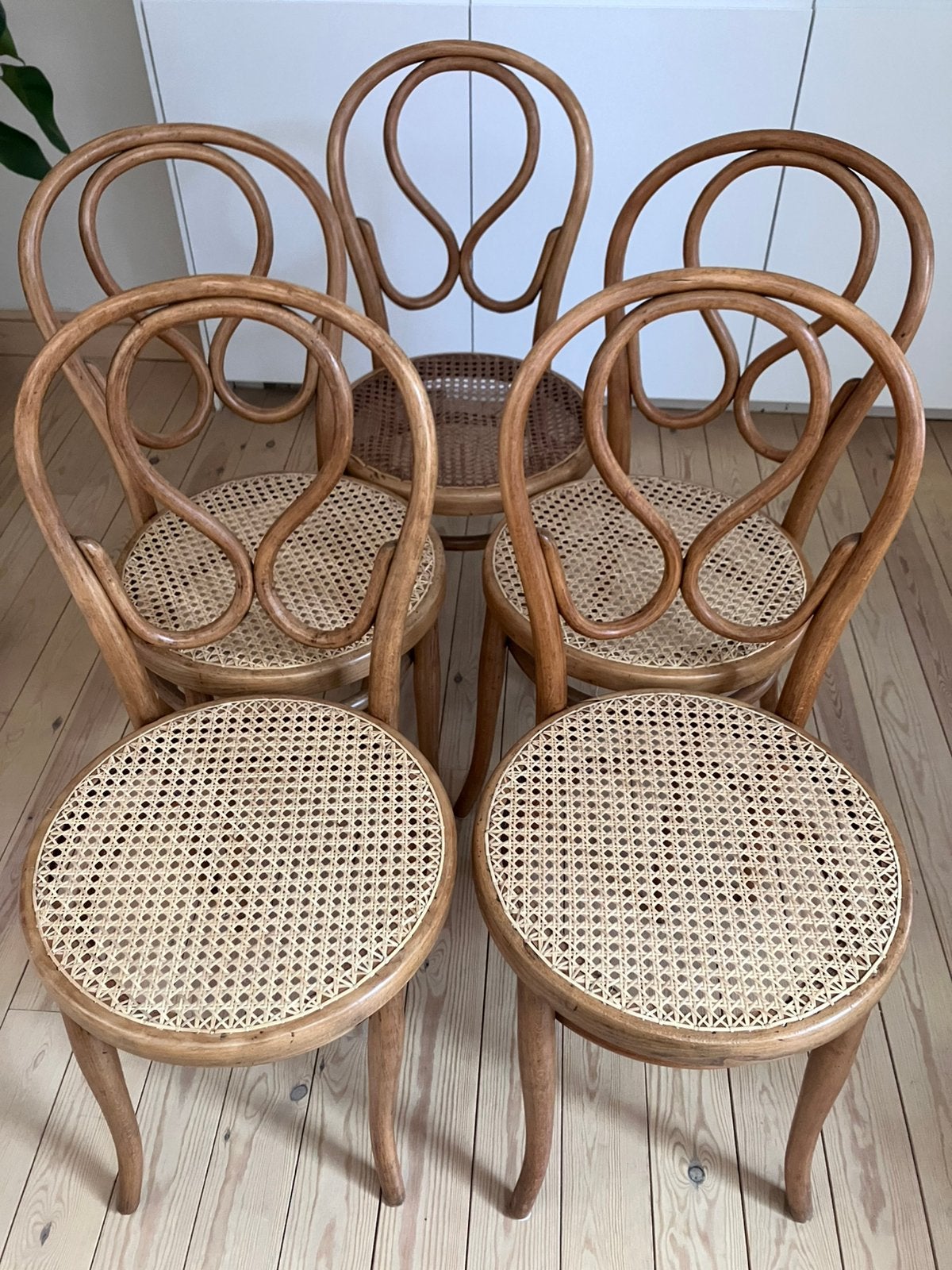 5 Thonet stoelen model 20, Enlèvement