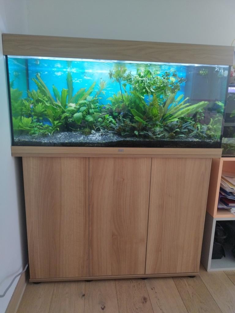 Aquarium Juwel 180 l, Enlèvement, Juwel