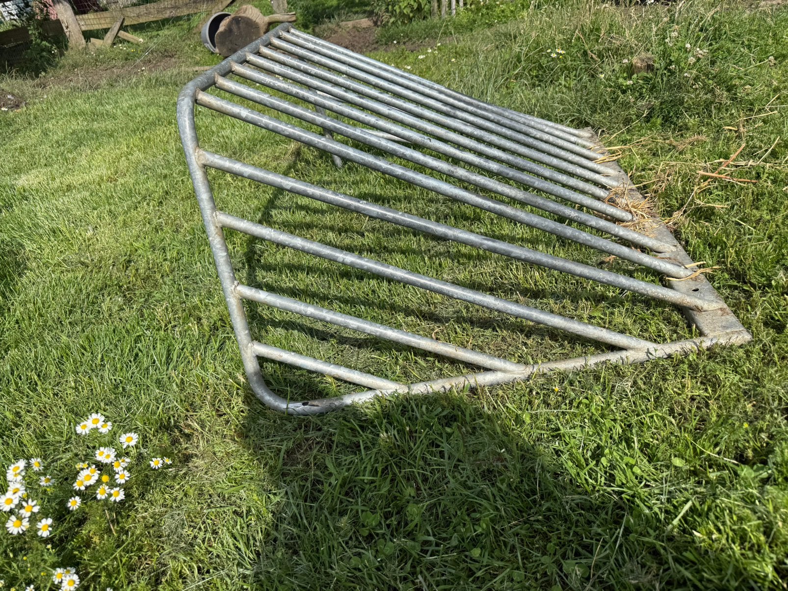 Hooiruif, Élevage, 2 ou 3 chevaux ou poneys