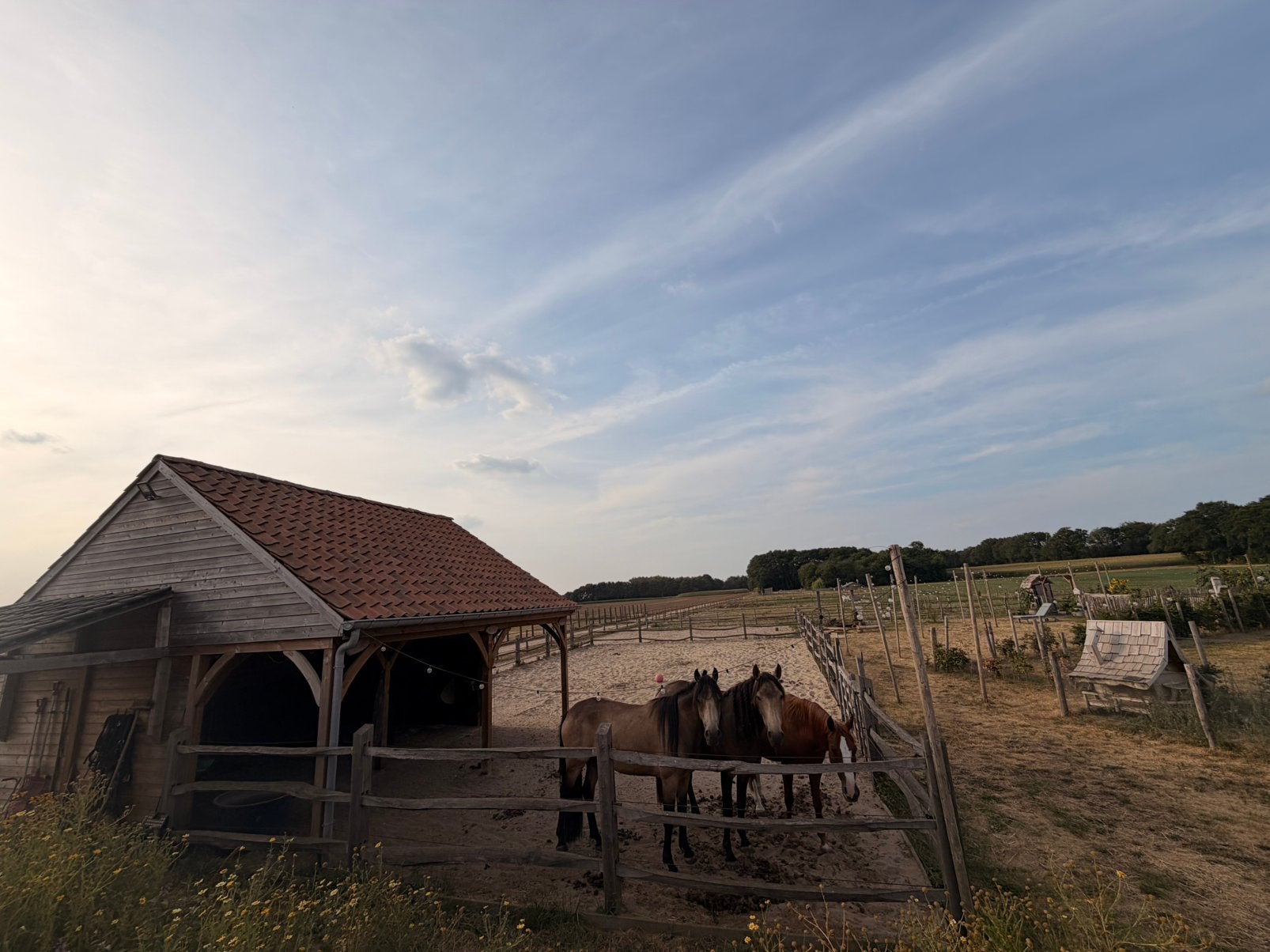 Weiland 7200m2 met schuilstal, water en elektriciteit, Dieren en Toebehoren, Stalling en Weidegang, Weidegang, 2 of 3 paarden of pony's