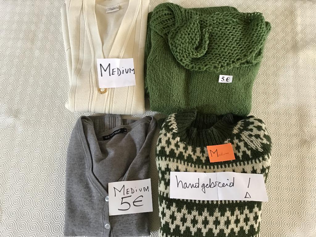 6 dames truien medium aan 5 euro per trui, Kleding | Dames, Truien en Vesten, Ophalen of Verzenden, Zo goed als nieuw, Maat 38/40 (M)