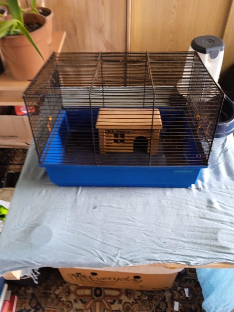 Kooi, Dieren en Toebehoren, Ophalen, Gebruikt, Kooi, Muis