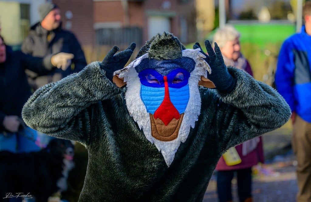 Apenpakken (kostuums carnaval), Ophalen of Verzenden, Gebruikt, Kostuum
