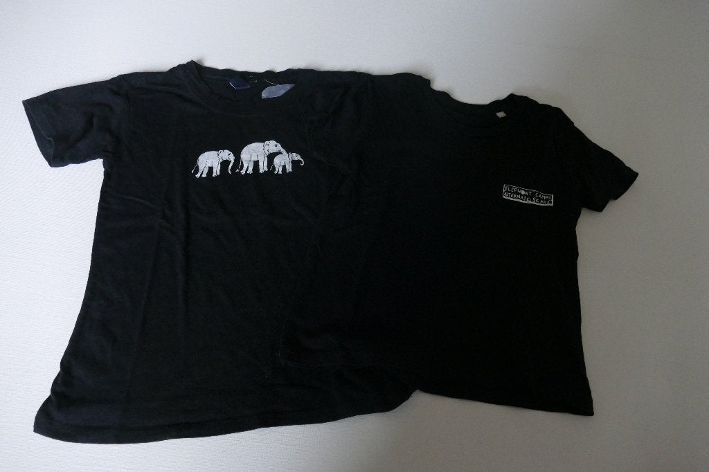 2 t-shirts: Alternate skate, Elephant camp: 6 jaar, Kinderen en Baby's, Kinderkleding | Maat 116, Alternate Skate, Ophalen of Verzenden