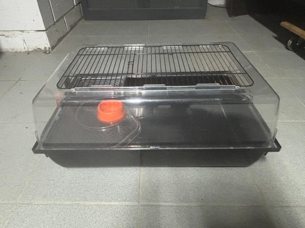 Knaagdierenkooi, Kooi, Gebruikt, Minder dan 75 cm, Hamster