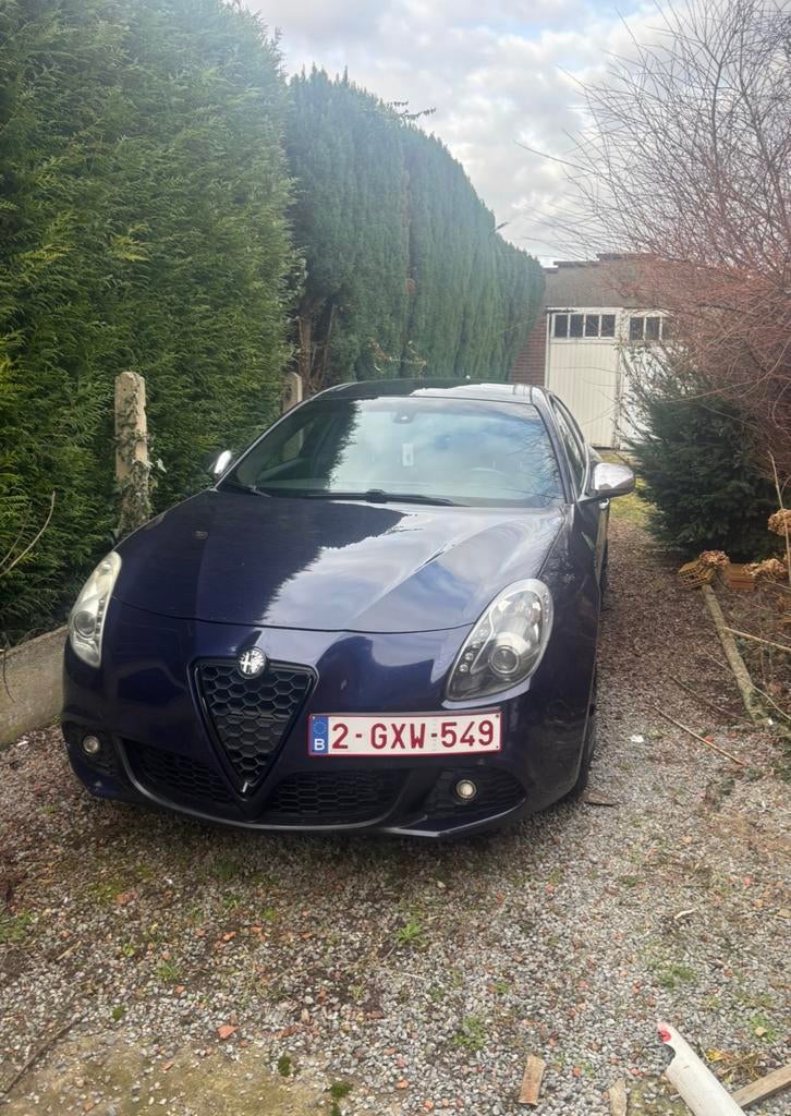 Alfa Romeo Giulietta, Autos, Cuir, Euro 5, Achat, Entreprise
