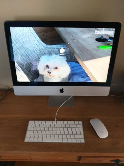 Apple Computer groot scherm., Ophalen, Apple