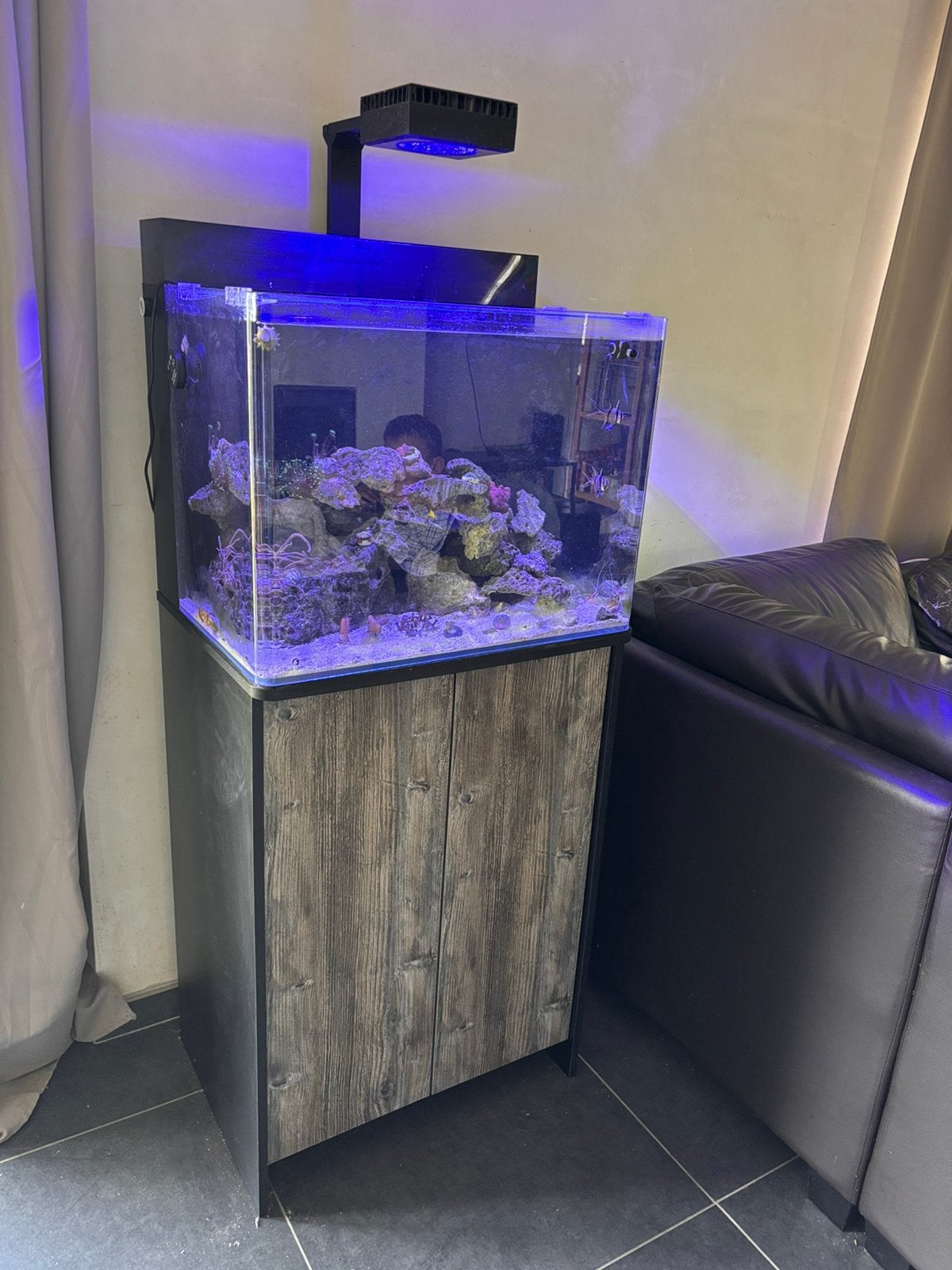 Aquarium marin, Animaux & Accessoires, Poissons | Aquariums & Accessoires, Enlèvement, Pompe, Utilisé