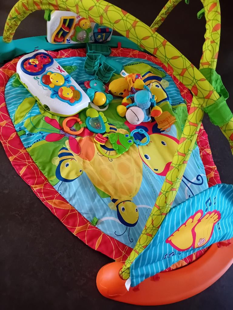 Interactieve babygym, Ophalen, Gebruikt