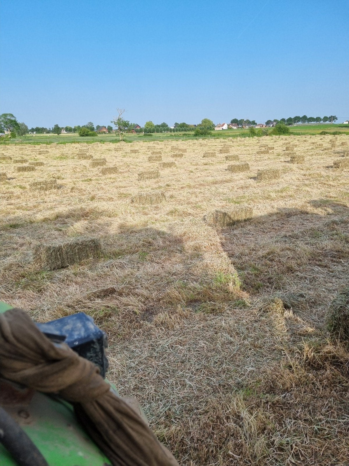 Hooi te koop Tielt West Vlaanderen, Dieren en Toebehoren