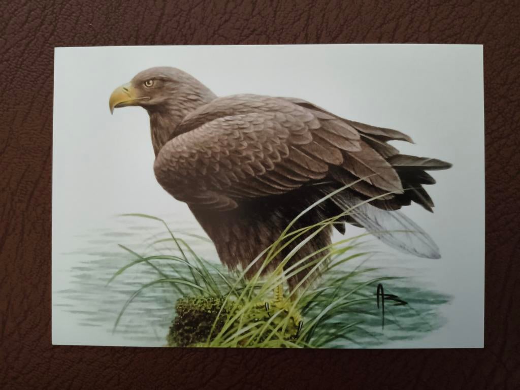 4 postkaarten Buzin, Verzenden