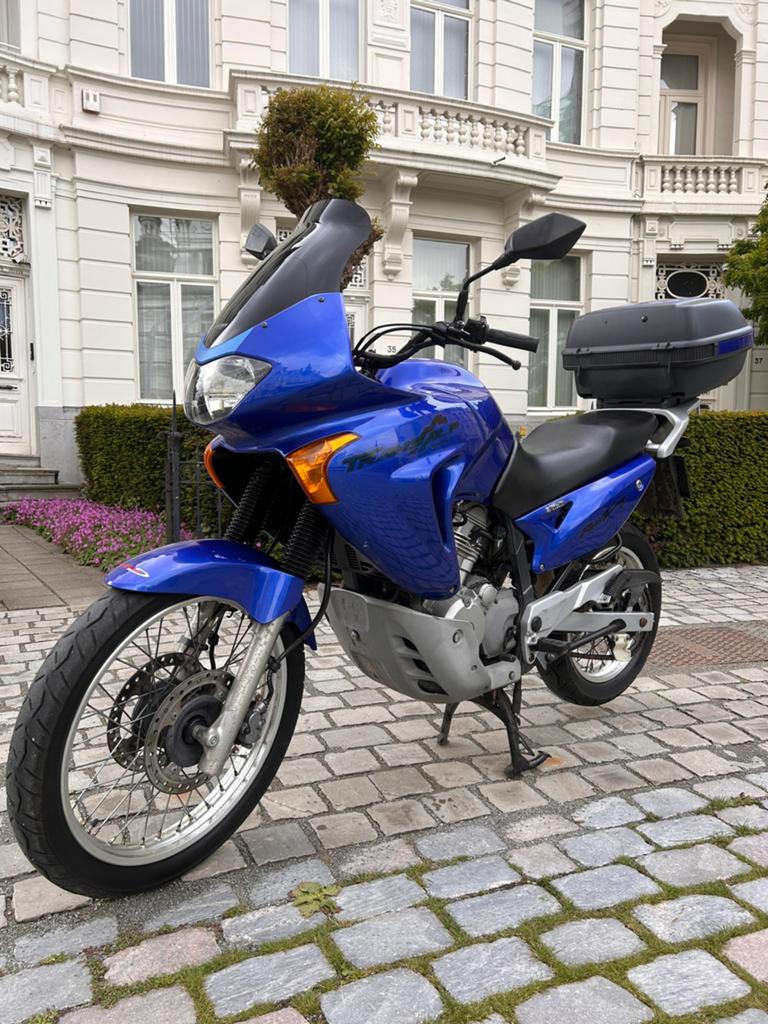 Honda Transalp 650 XL Vtwin très bon état, Motos, Motos | Honda, Particulier, Enduro, plus de 35 kW, 2 cylindres, Permis Moto A