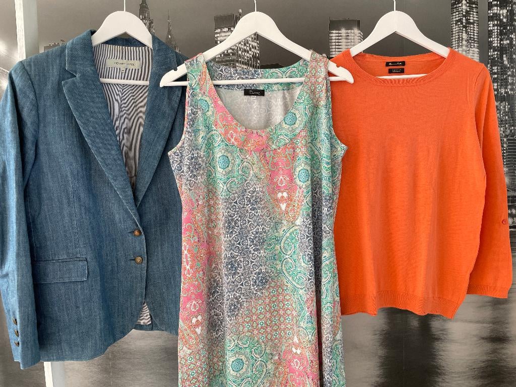 Pakket merkkledij 42 voor prijsje Gerard Darel Massimo Dutti, Vêtements | Femmes, Envoi, Comme neuf, Taille 42/44 (L)