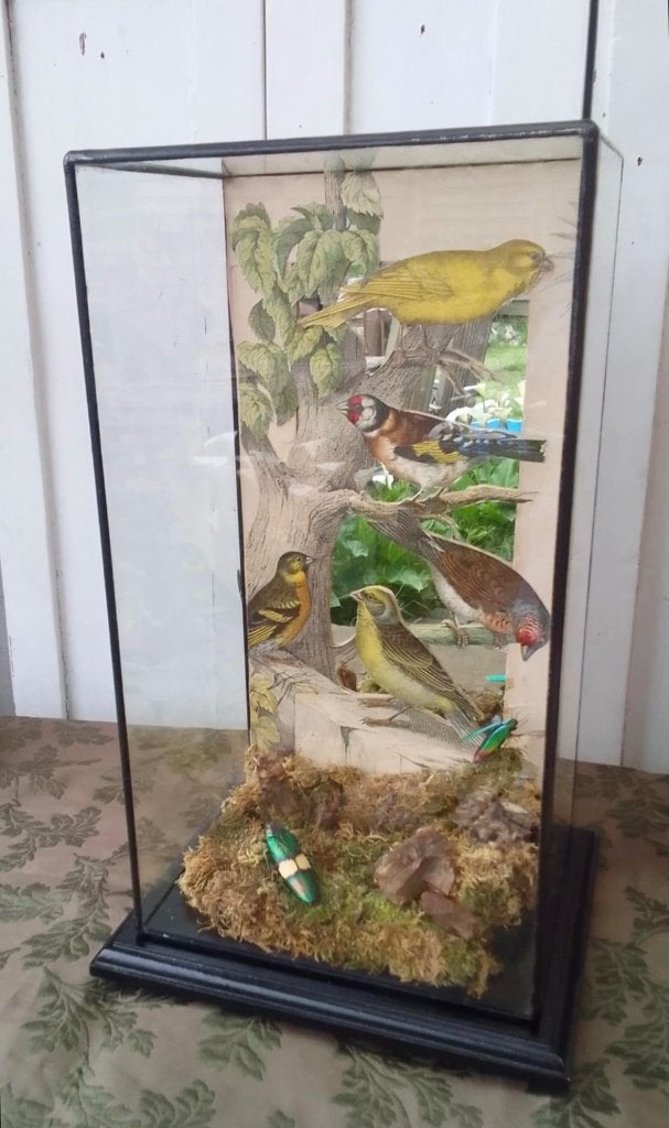 Zeldzame en unieke rechthoekige stolp, Antiek en Kunst, Ophalen