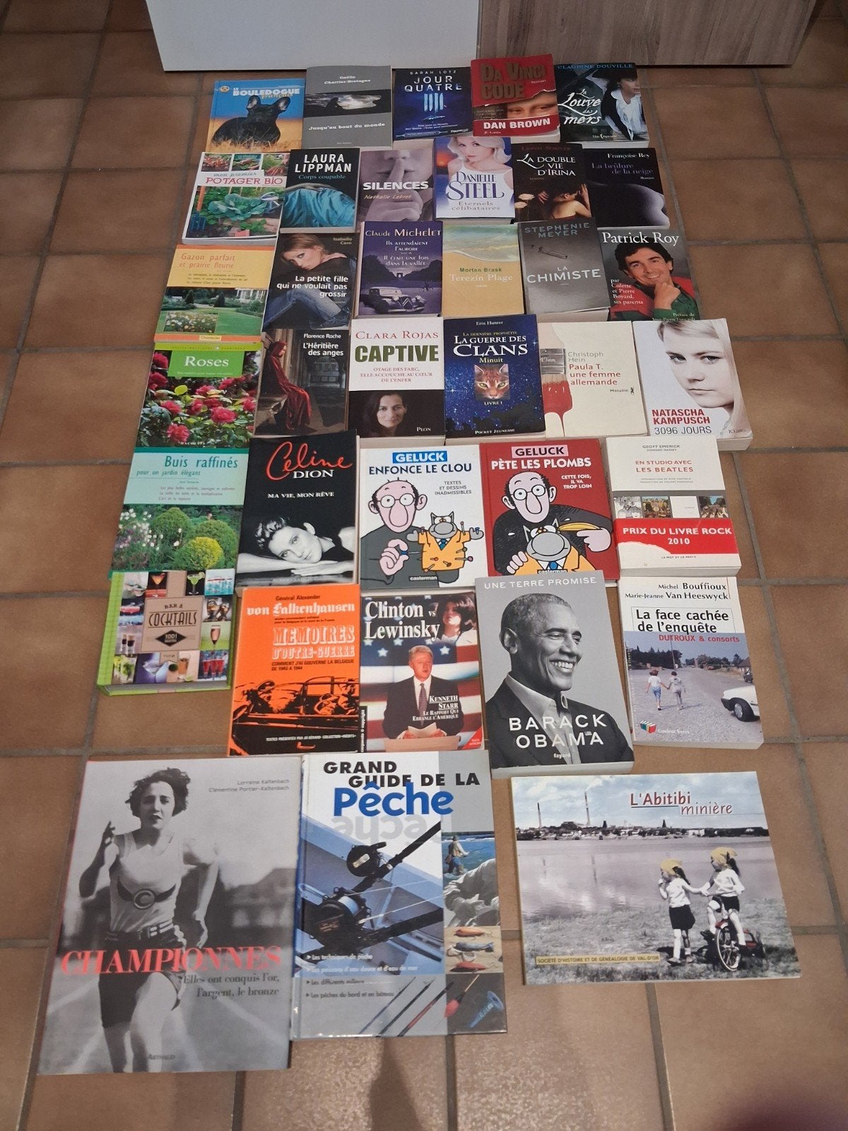 lot de 36 livres, Enlèvement