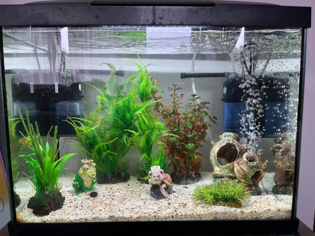 Aquarium zwart, Dieren en Toebehoren, Vissen | Aquaria en Toebehoren, Ophalen, Inclusief toebehoren, Nieuw, Superfish
