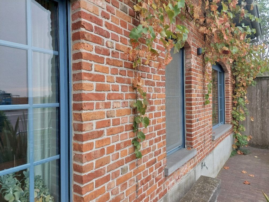 Baksteen beerse klinker, Ophalen, Gebruikt, Bakstenen