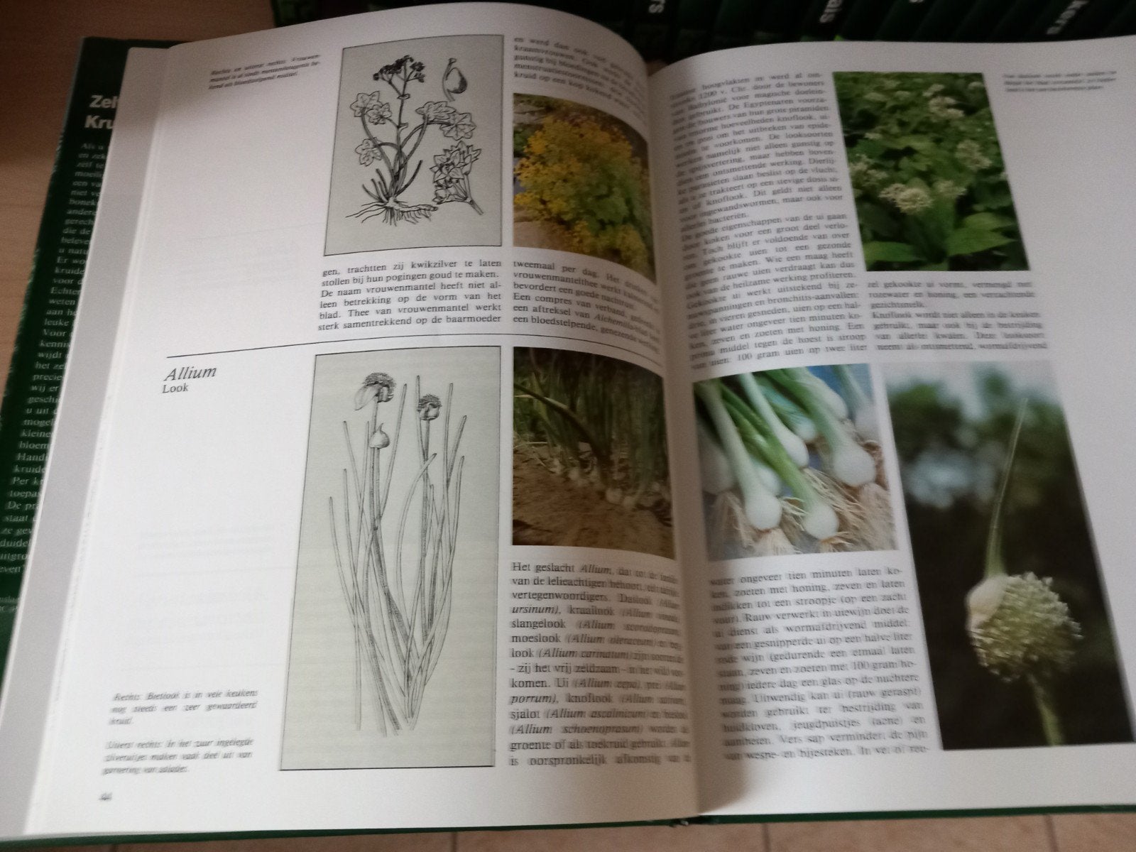 Set van 27 boeken als nieuw over planten,stekken, zaaien enz, Ophalen