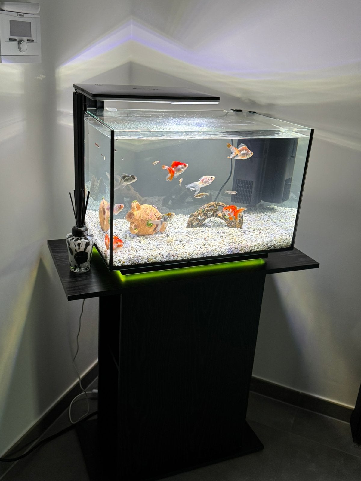 Aquarium, Enlèvement, Comme neuf, Filter